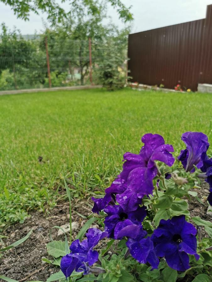 Bbs Residence Kluž Exteriér fotografie