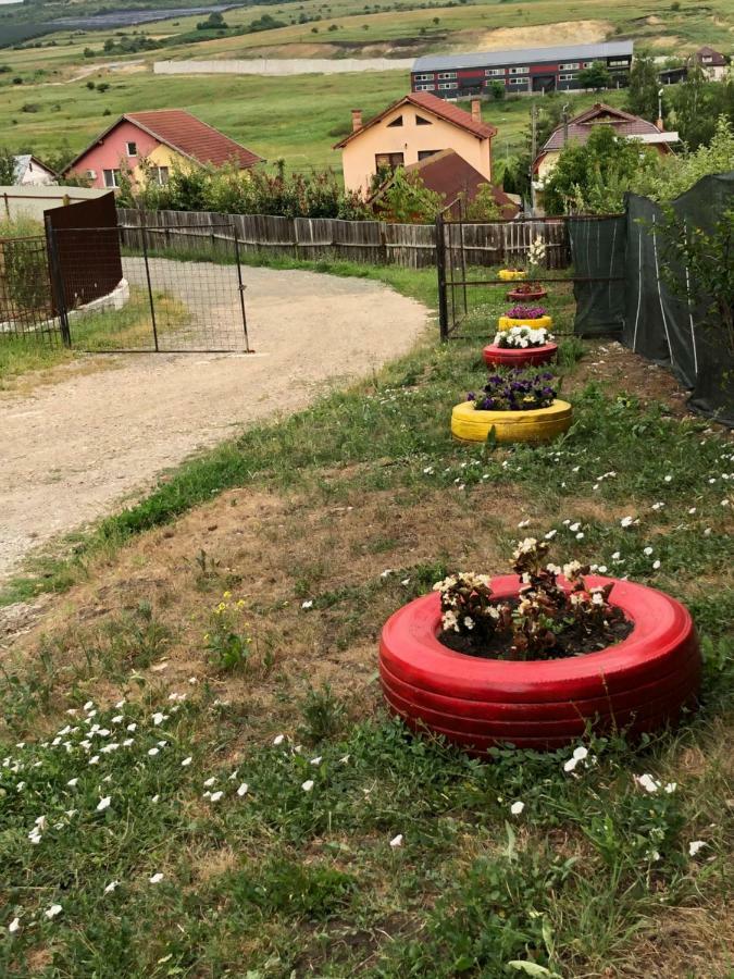 Bbs Residence Kluž Exteriér fotografie